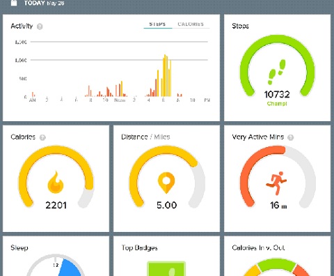 Fitbit Dashboard of Tracking Data