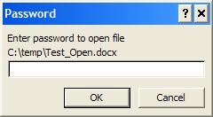 Enter Password to Open Word Document